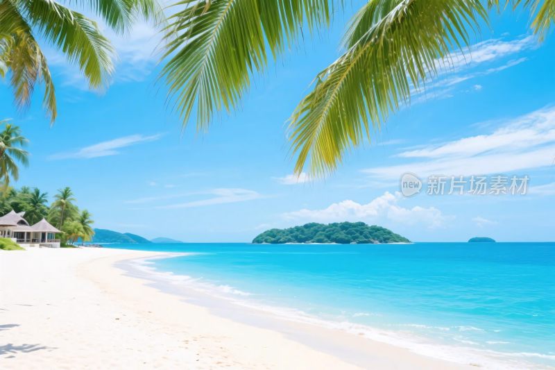 热带海滩风景图