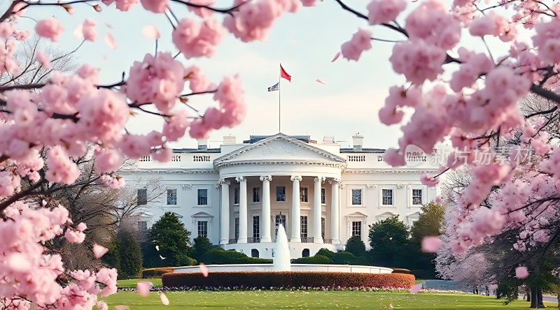 白宫春意盎然