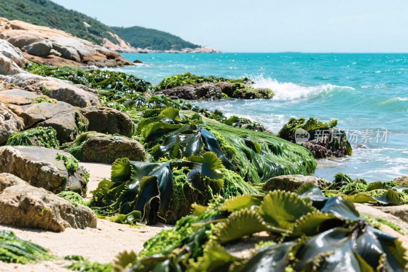 海边自然风景摄影