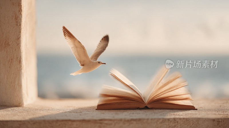 海鸥与翻开的书本画面