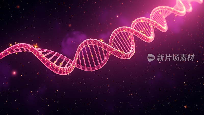 紫色DNA螺旋结构