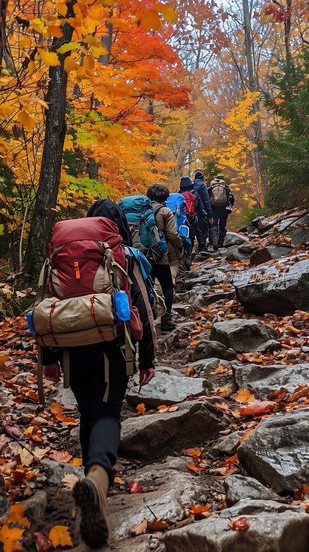 秋日登山者徒步穿越五彩斑斓的森林小径