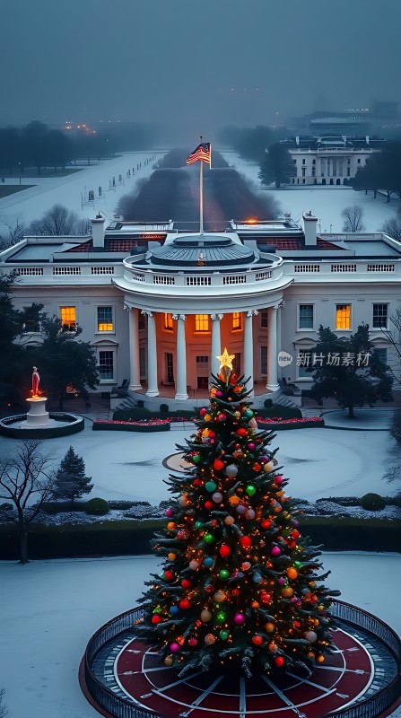 白宫前圣诞树下的雪夜美景