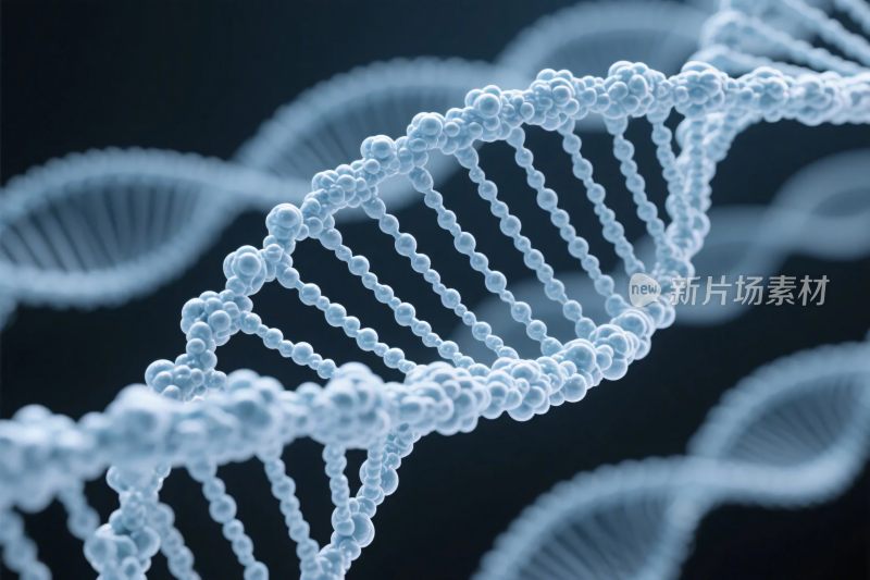 双螺旋结构示意图