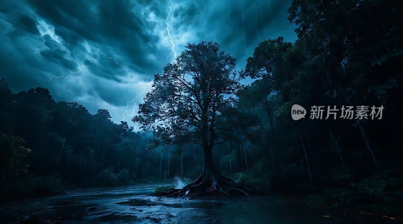 雨夜森林闪电大树