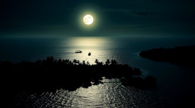 椰林夜月映波光