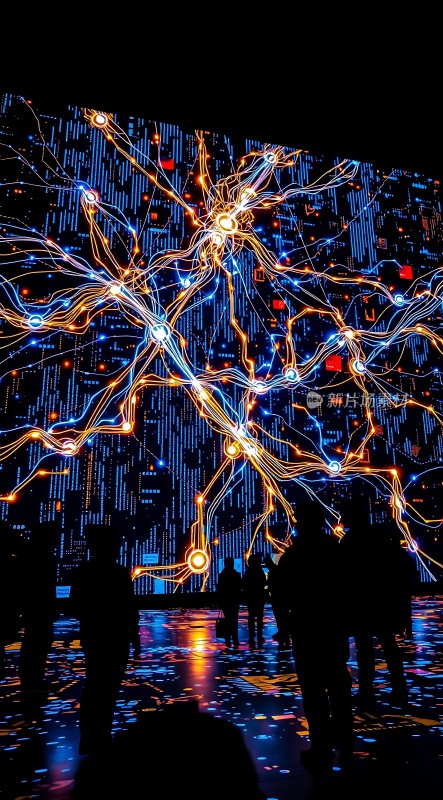 数字世界中的未来网络