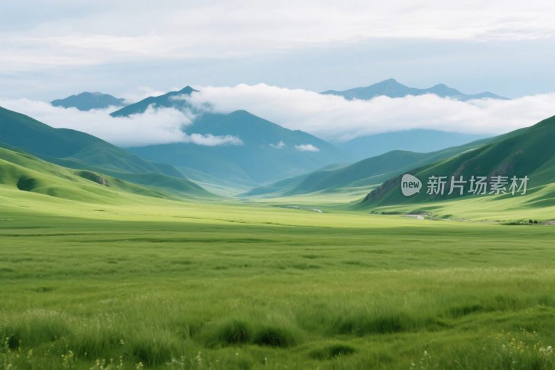 广袤草原与远山云雾景观