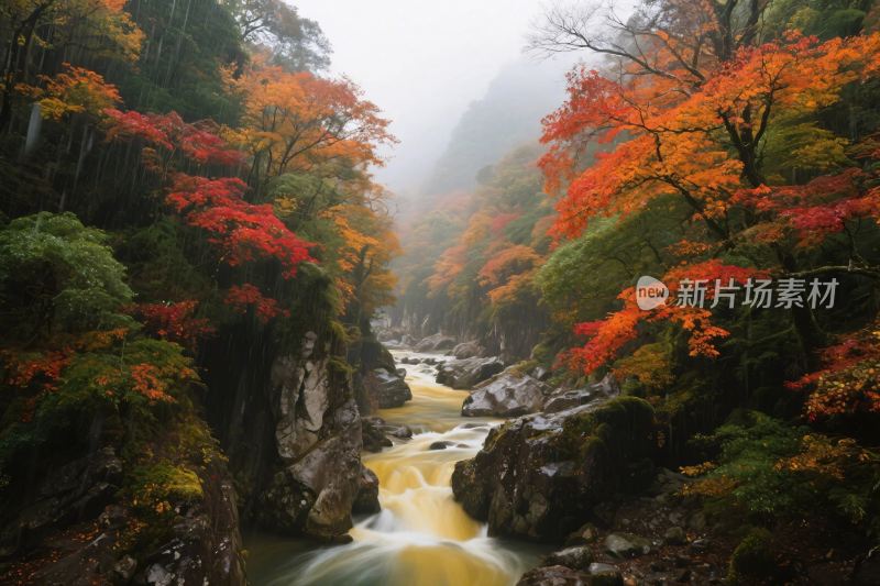 秋日山间溪流美景