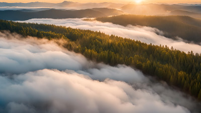 森林云海阳光山峰照片大自然树林丁达尔效应