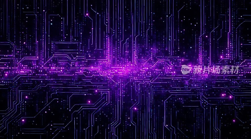 紫色科技电路板