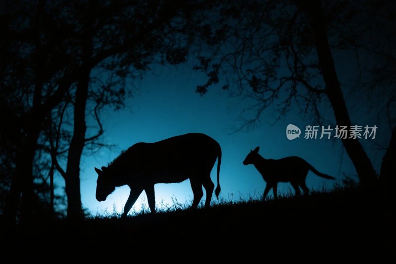 夜晚动物剪影