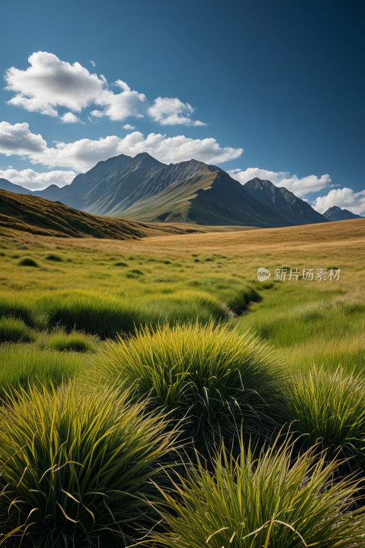 草地山脉蓝天白云高清风景图片