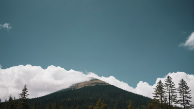 一座山有几棵树高清风景图片