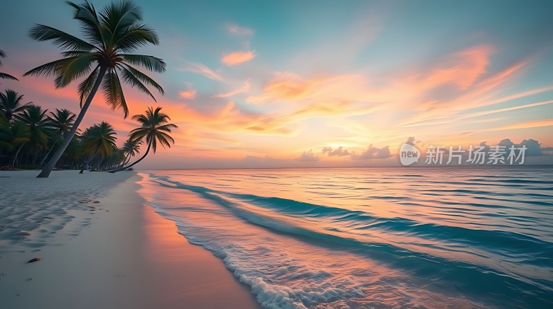 椰林晚霞映碧波