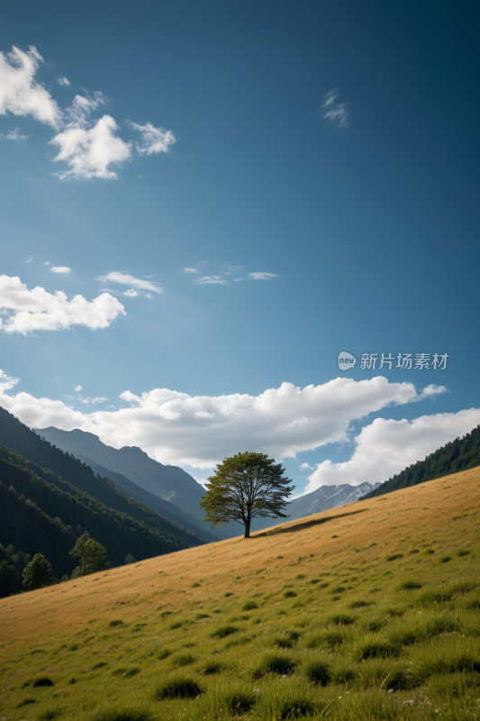 田野里一棵孤树山脉高清风景图片