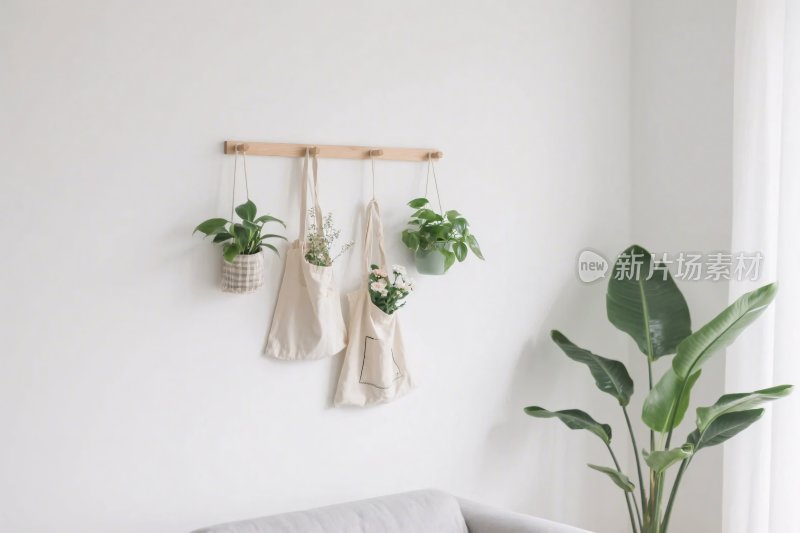 室内绿植挂饰布置