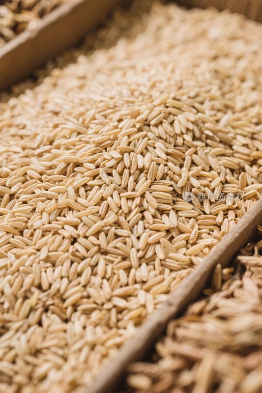 粮食特写展示图
