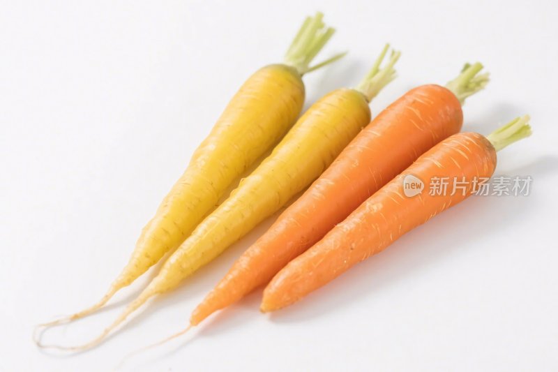 多彩胡萝卜展示