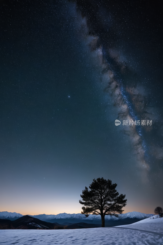 前景中一棵孤独的树的星空高清风景图片