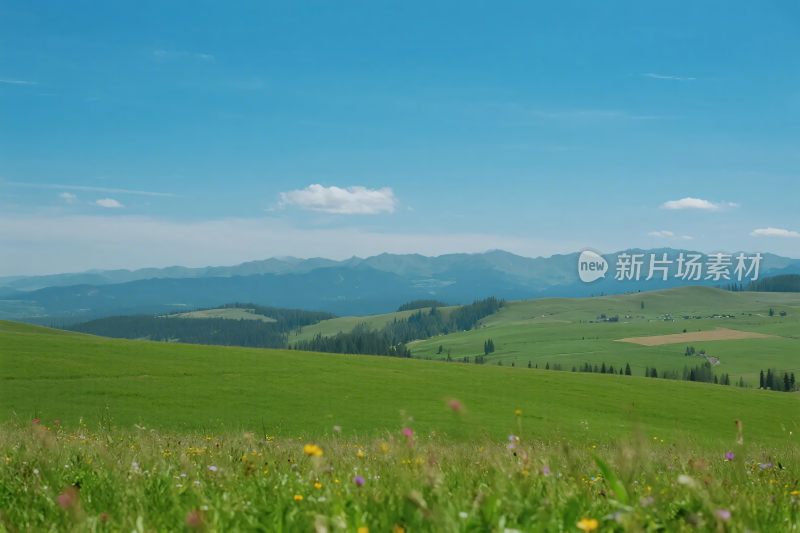 广袤草原与远山蓝天美景