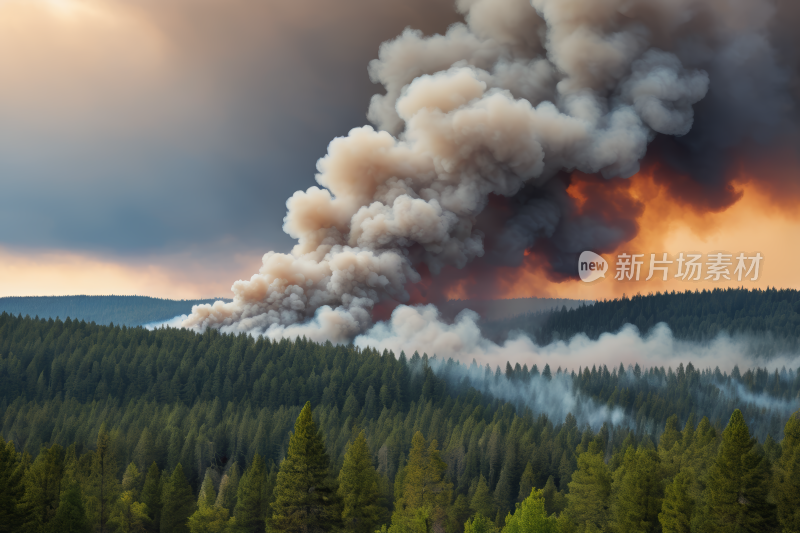 有天空背景的森林大火冒出浓烟风光风景图片