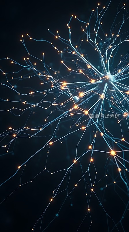神经元网络结构图