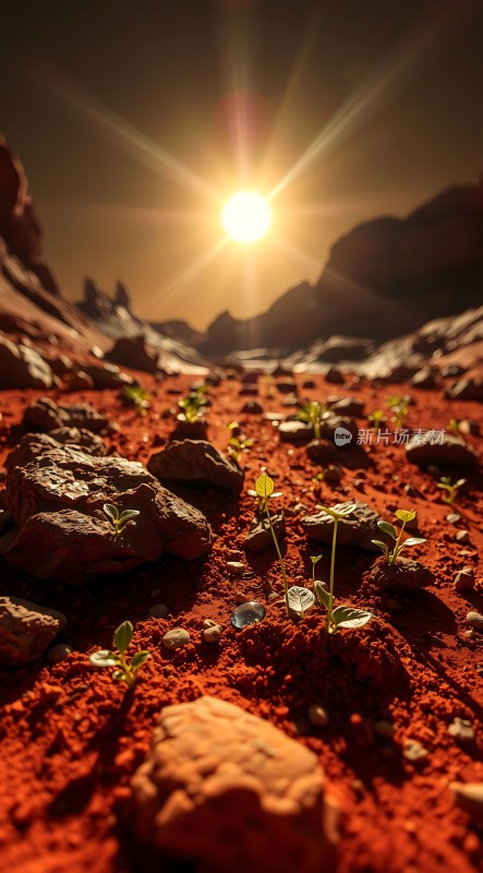 红色星球上的生命希望