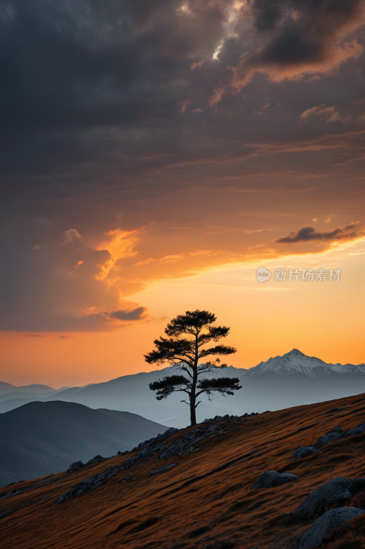 山上一棵孤树一座高山清风景图片