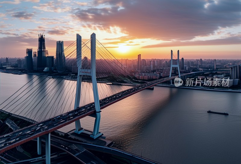 杨浦大桥日落全景