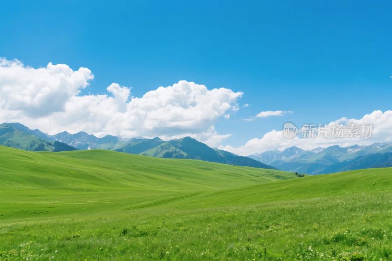 广袤草原与蓝天白云美景