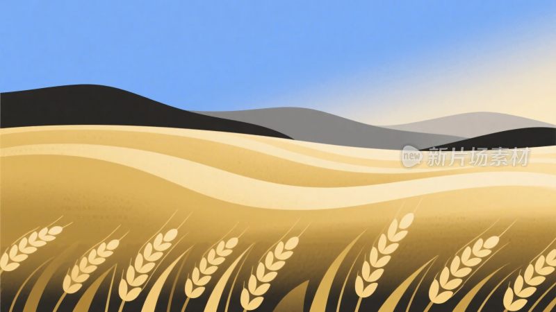 麦田风景插画