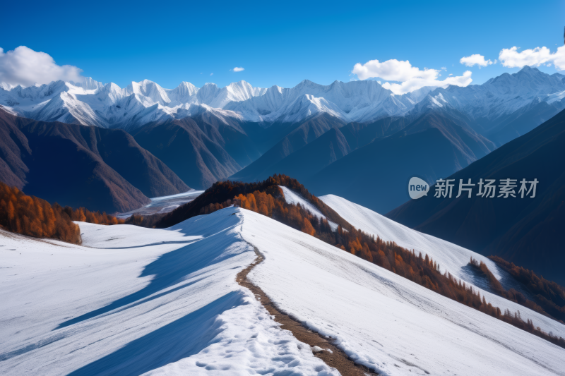 山雪满树雪高清图片