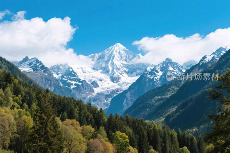 雪山森林自然风光