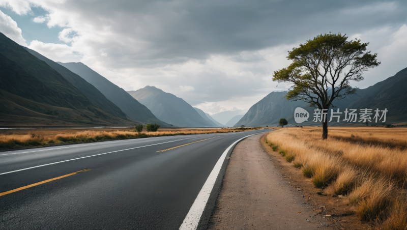 公路孤树风光风景图片