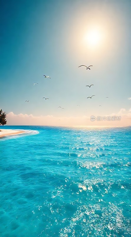 阳光下的蓝色海洋与飞翔的海鸥
