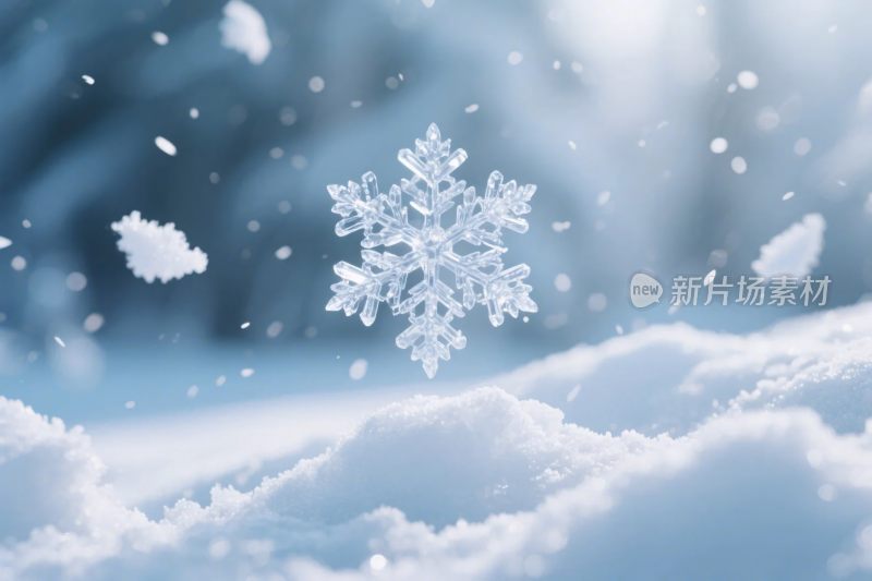 冬日雪景雪花特写