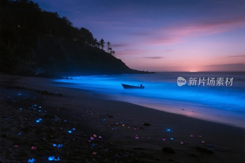 奇幻海滩夜光景观