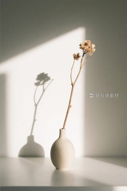 静物光影花瓶与植物