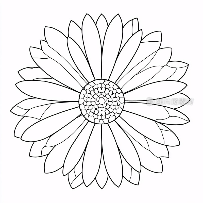 线条勾勒的简约花朵图案