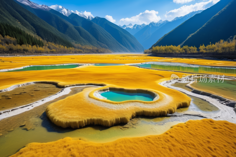 一片黄野中间一大片水池高清风景图片