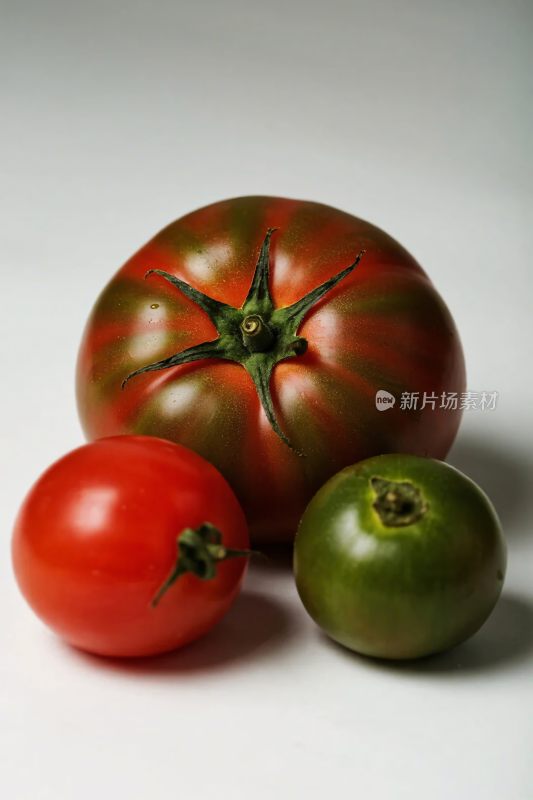 彩色番茄静物图