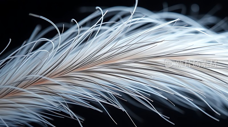 白色羽毛飘动之美