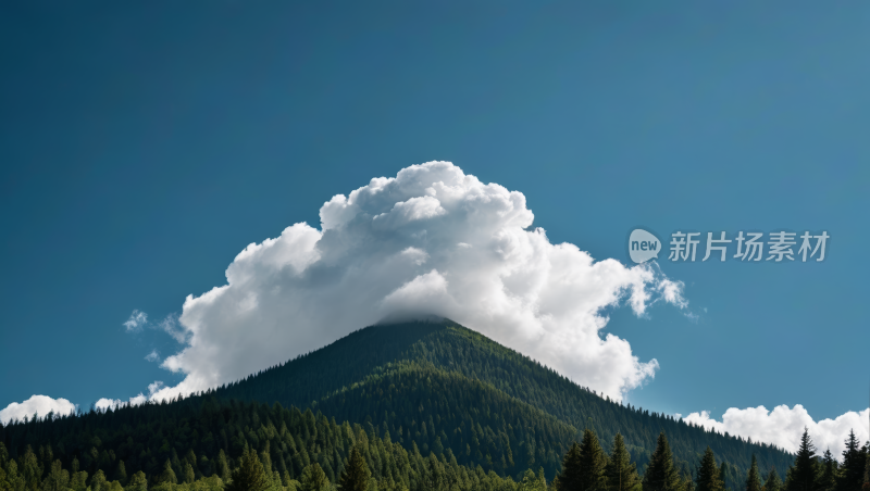 森林上方的天空中一朵大云高清风景图片