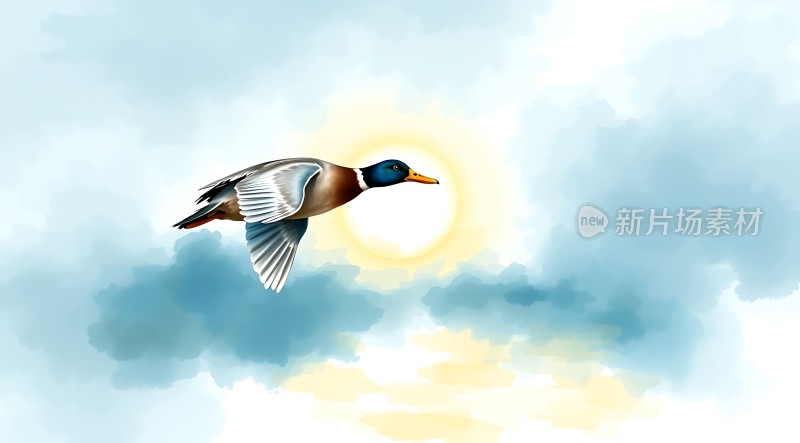 阳光下的飞翔之翼