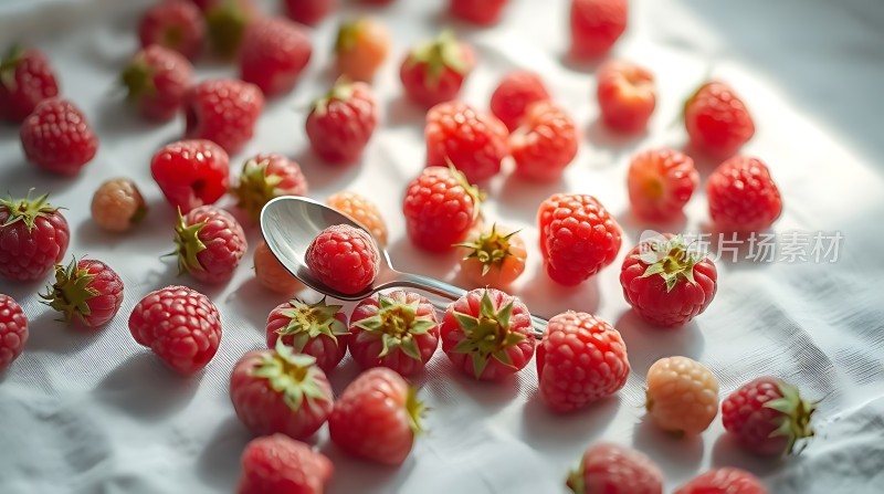 阳光下的红莓盛宴