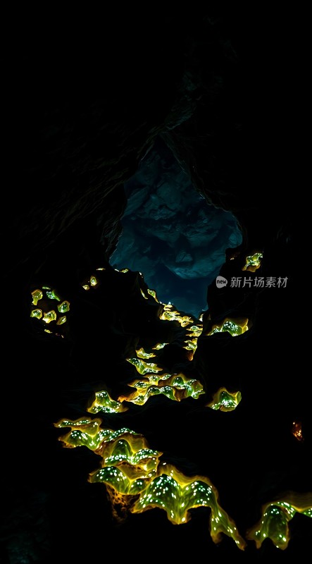 神秘洞穴探秘之旅