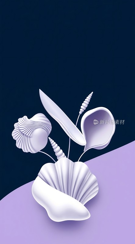 紫色贝壳艺术