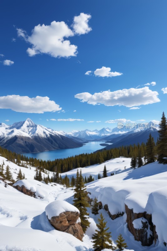 雪山景观湖泊和树木高清风景图片