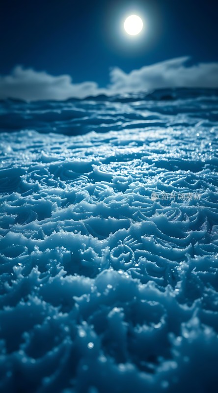 月下雪原